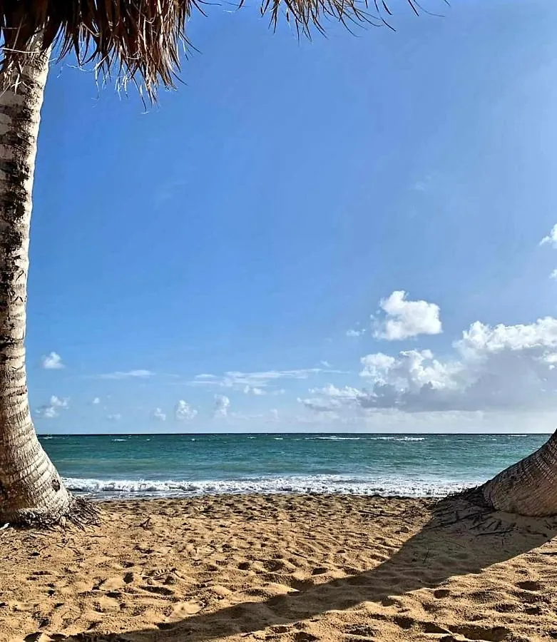 Condado Beach Apartment סן חואן